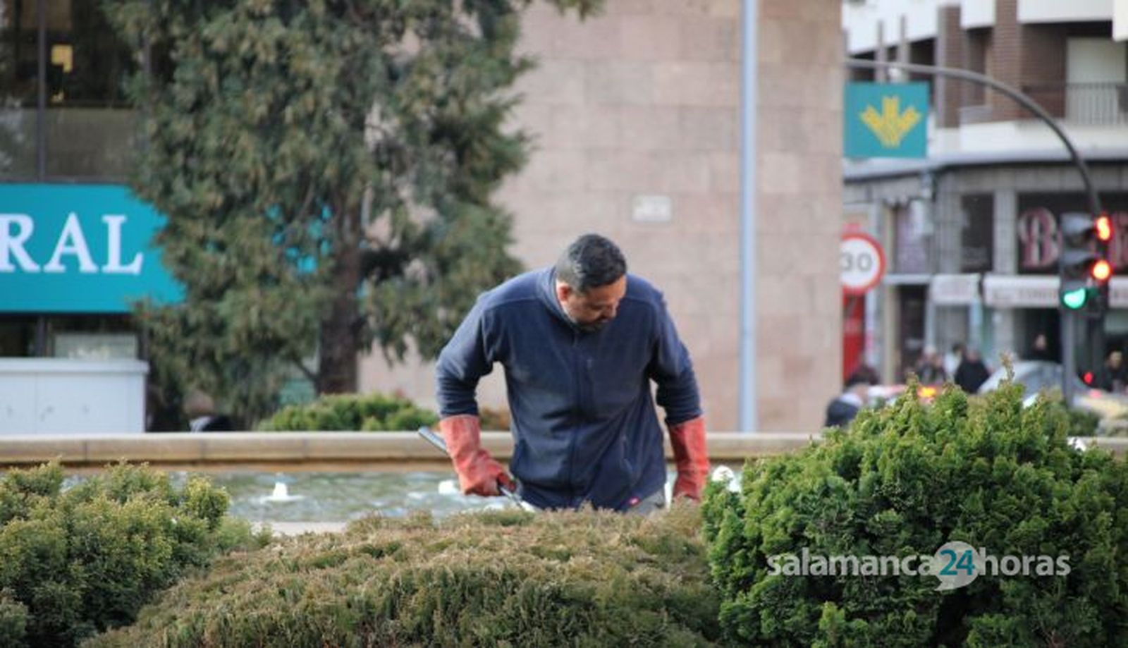 La Policía Local busca a un visón refugiado en la fuente de la Puerta de Zamora. Fotos S24H (8)