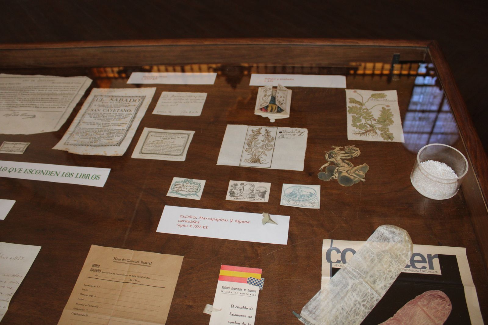 biblioteca-usal-serendipias-libros-historicos-directora-de-la-biblioteca-de-la-usal-libros-7