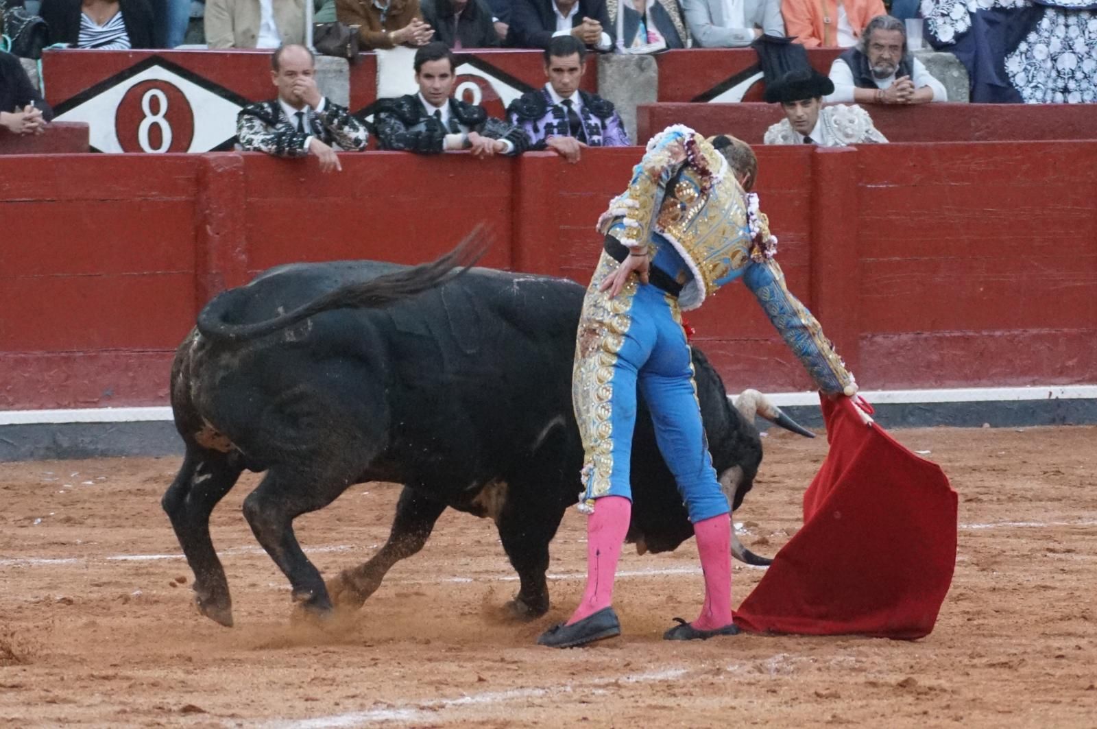 corrida-concurso-momentos-mas-destacados-del-ultimo-festejo-de-abono-de-la-feria-taurina-virgen-de-la-vega-2024-fotos-carlos-h-g-y-juanes-20