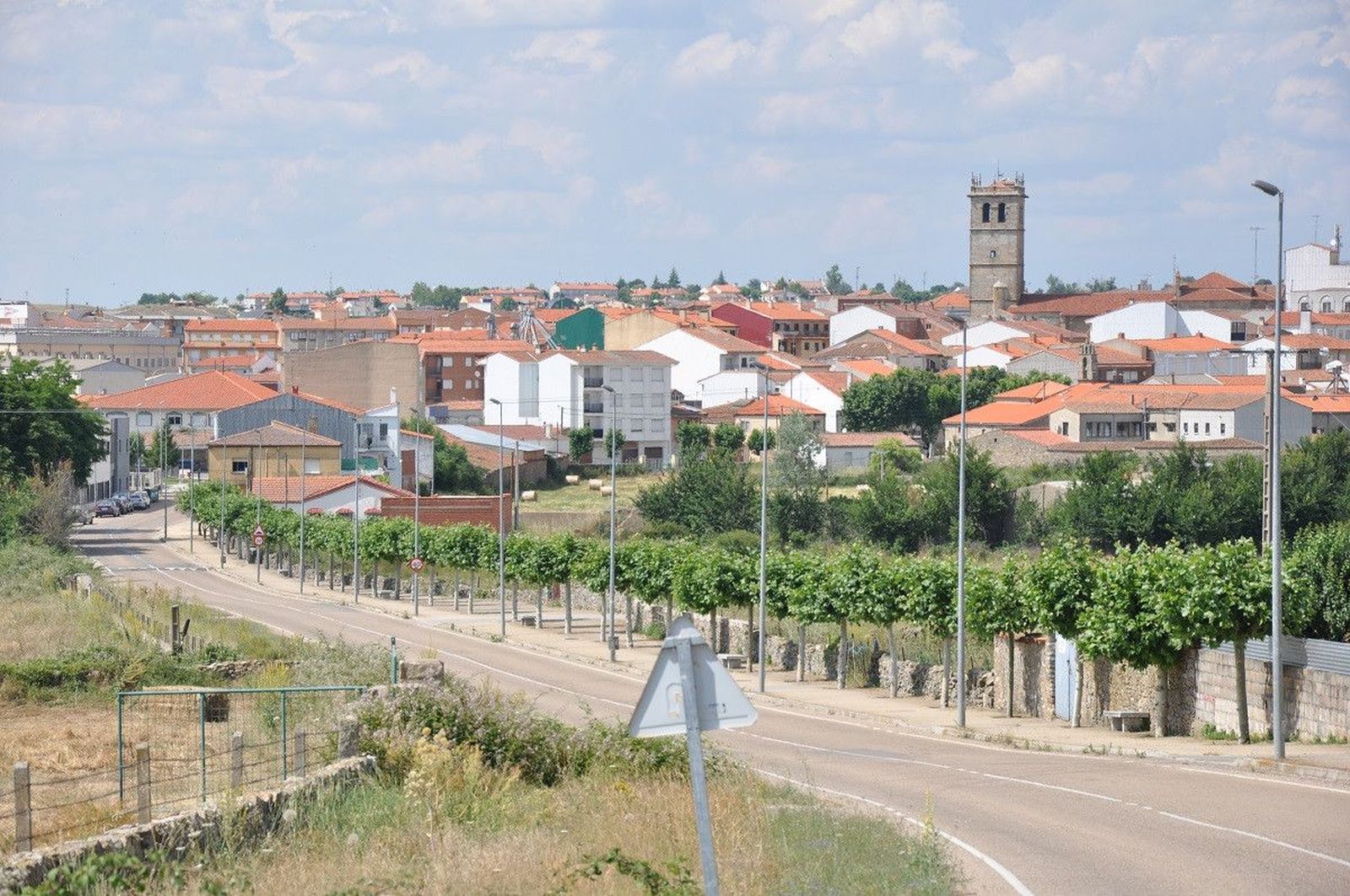 Vitigudino panoramica