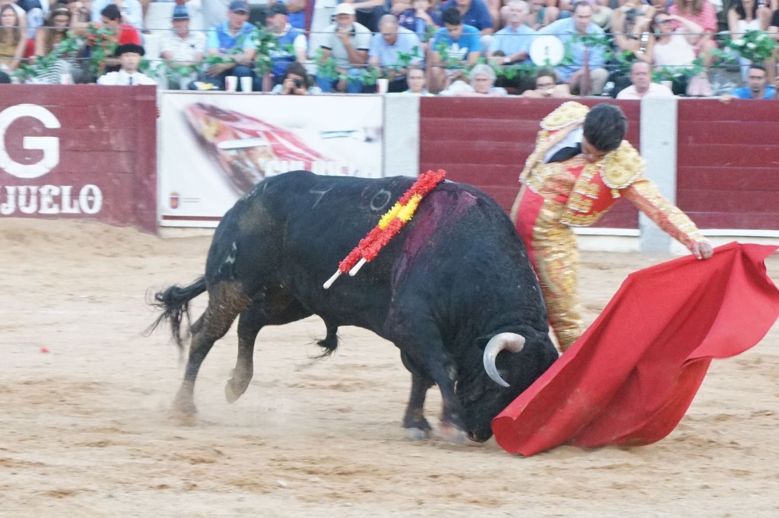 corrida-rejones-guijuelo-35