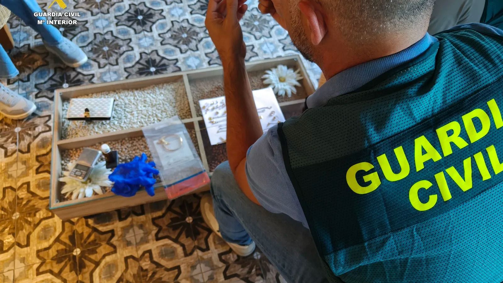 La Guardia Civil de Salamanca desarticula un grupo criminal especializado en robos con fuerza en viviendas