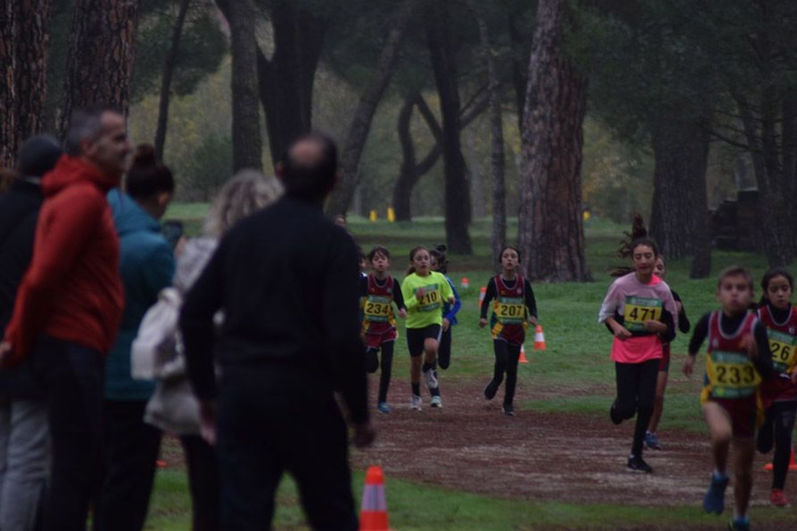 cross-de-otono-en-el-bosque-de-valorio-9