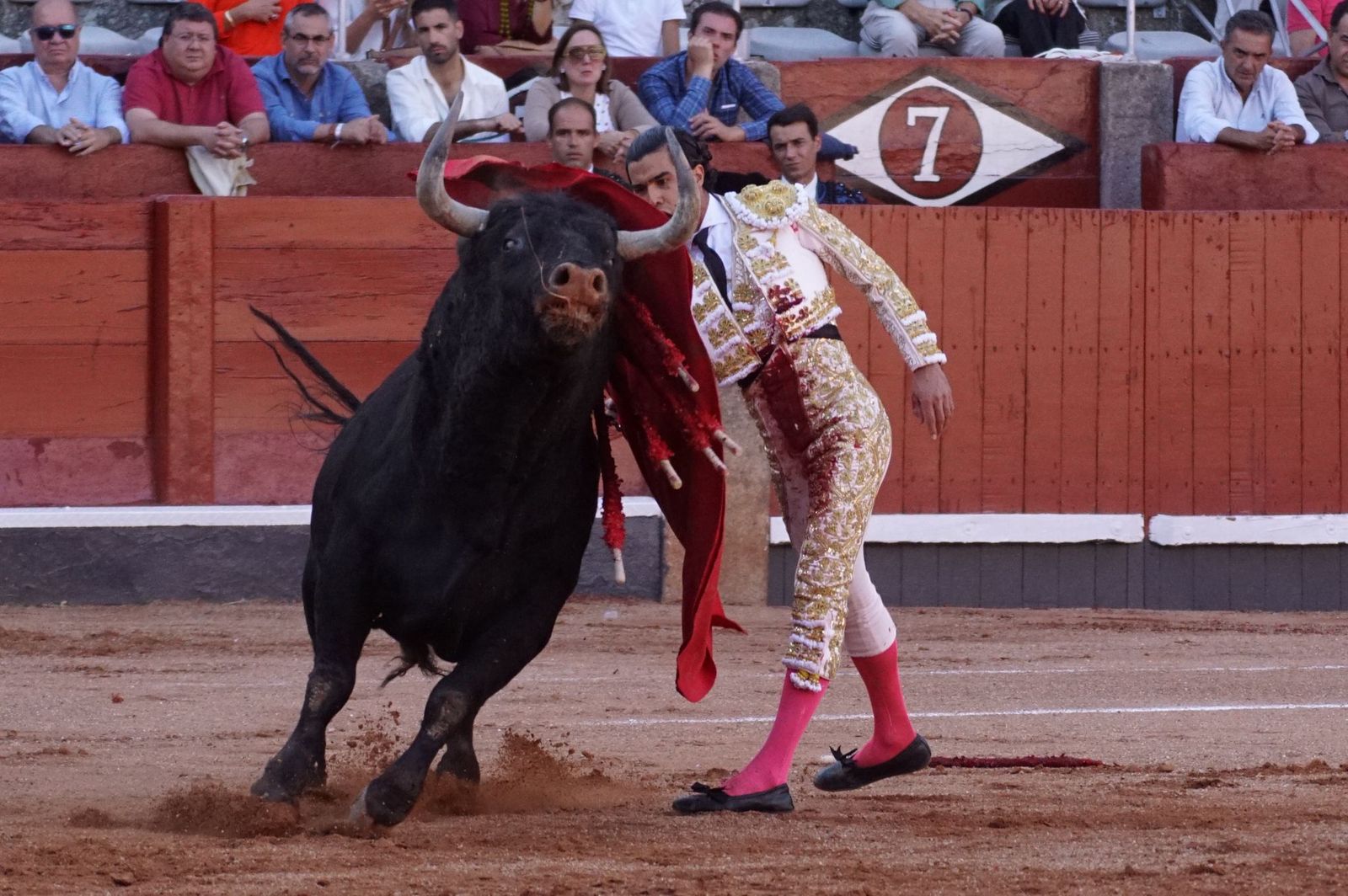 Presencia salmantina por partida doble en la primera corrida de la feria: Damián Castaño e Ismael Martín junto al mexicano Diego San Román