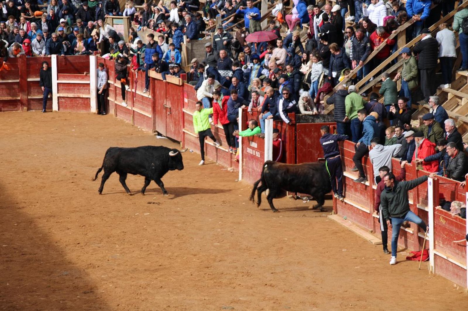 capea-matutina-del-martes-carnaval-de-ciudad-rodrigo-2