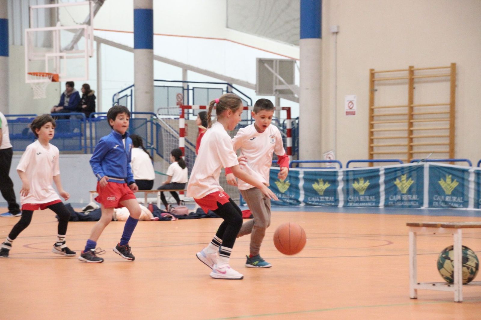 20230318115251-img-6530