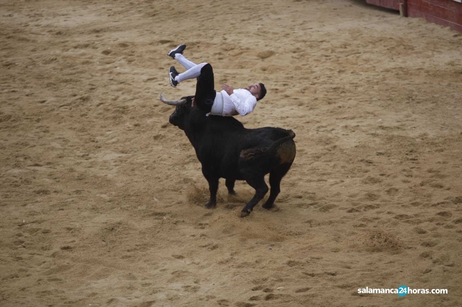 Use Ciudad Rodrigo (1)