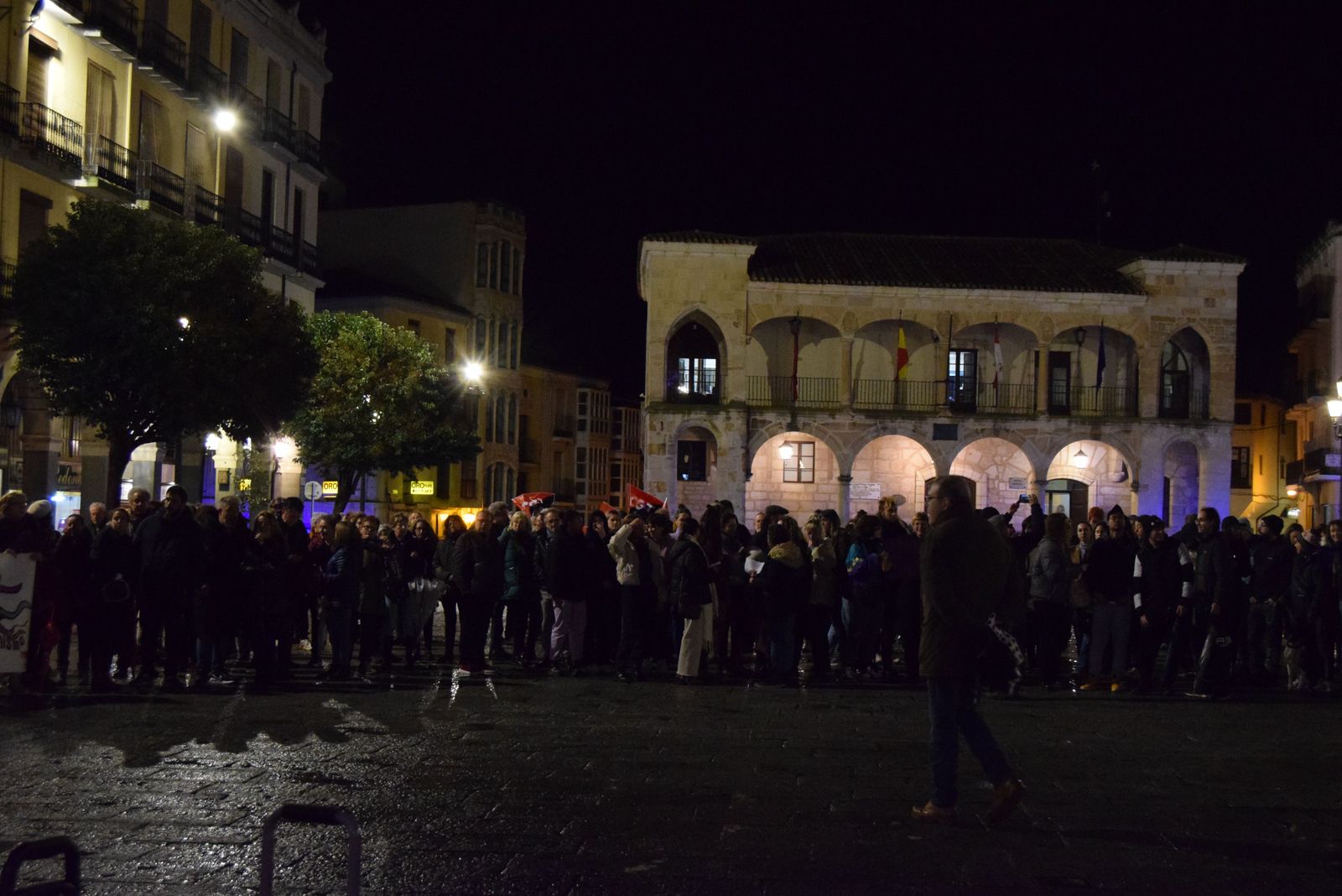 manifestacion-por-el-8m-en-zamora-39