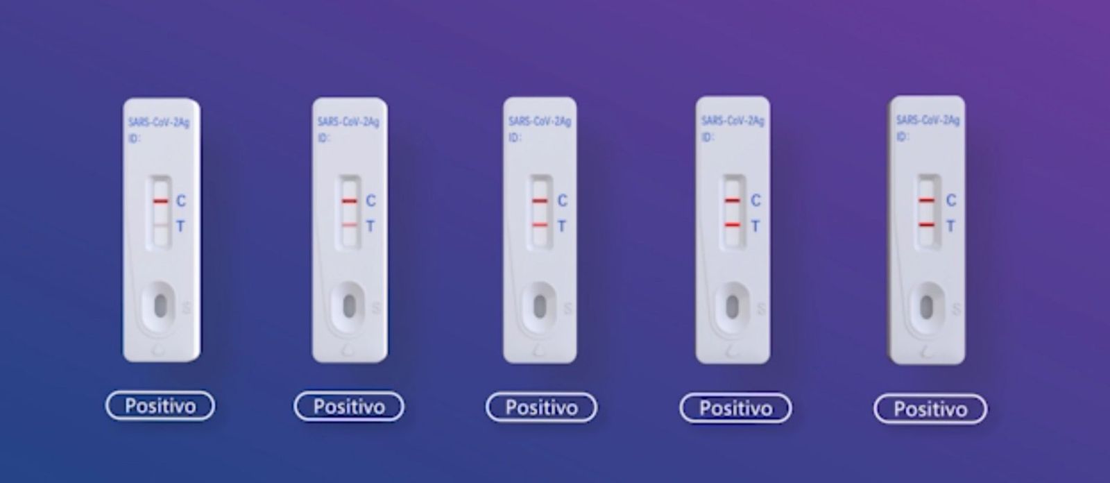 WhatsApp Image 2021 07 20 at 16.49.29