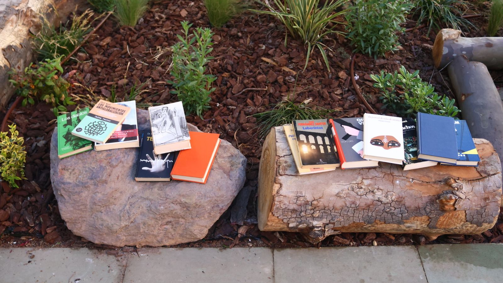 Quedada de lectura en el Barrio del Oeste