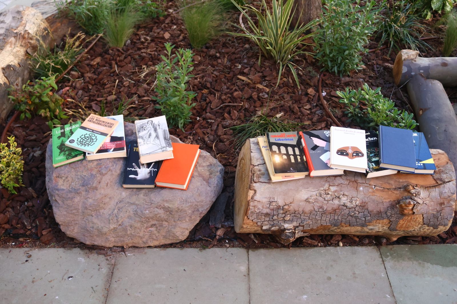Cuentacuentos y quedada de lectura en el Barrio del Oeste