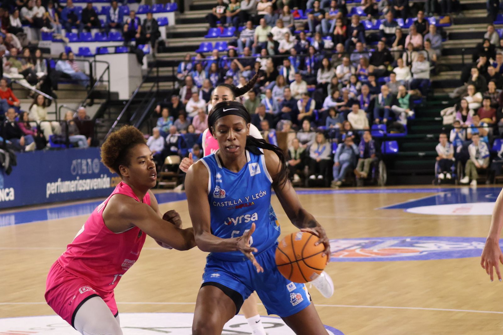 Perfumerías Avenida - Araski