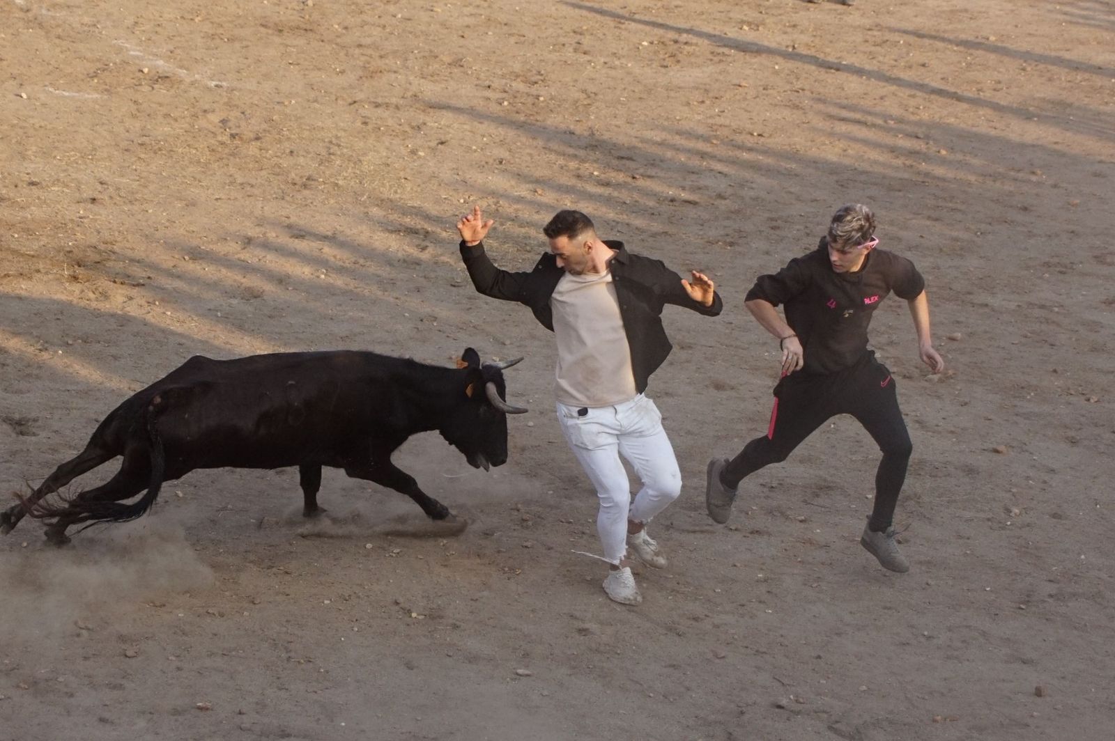Carreras, risas y tradición: así se ha vivido El Toro en Santa Marta