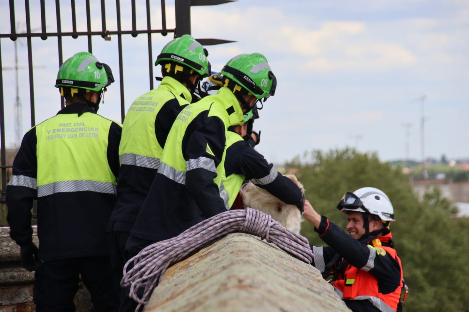 los-bomberos-rescatan-a-un-perro-en-el-jardin-botanico-de-salamanca-fotos-andrea-m-6