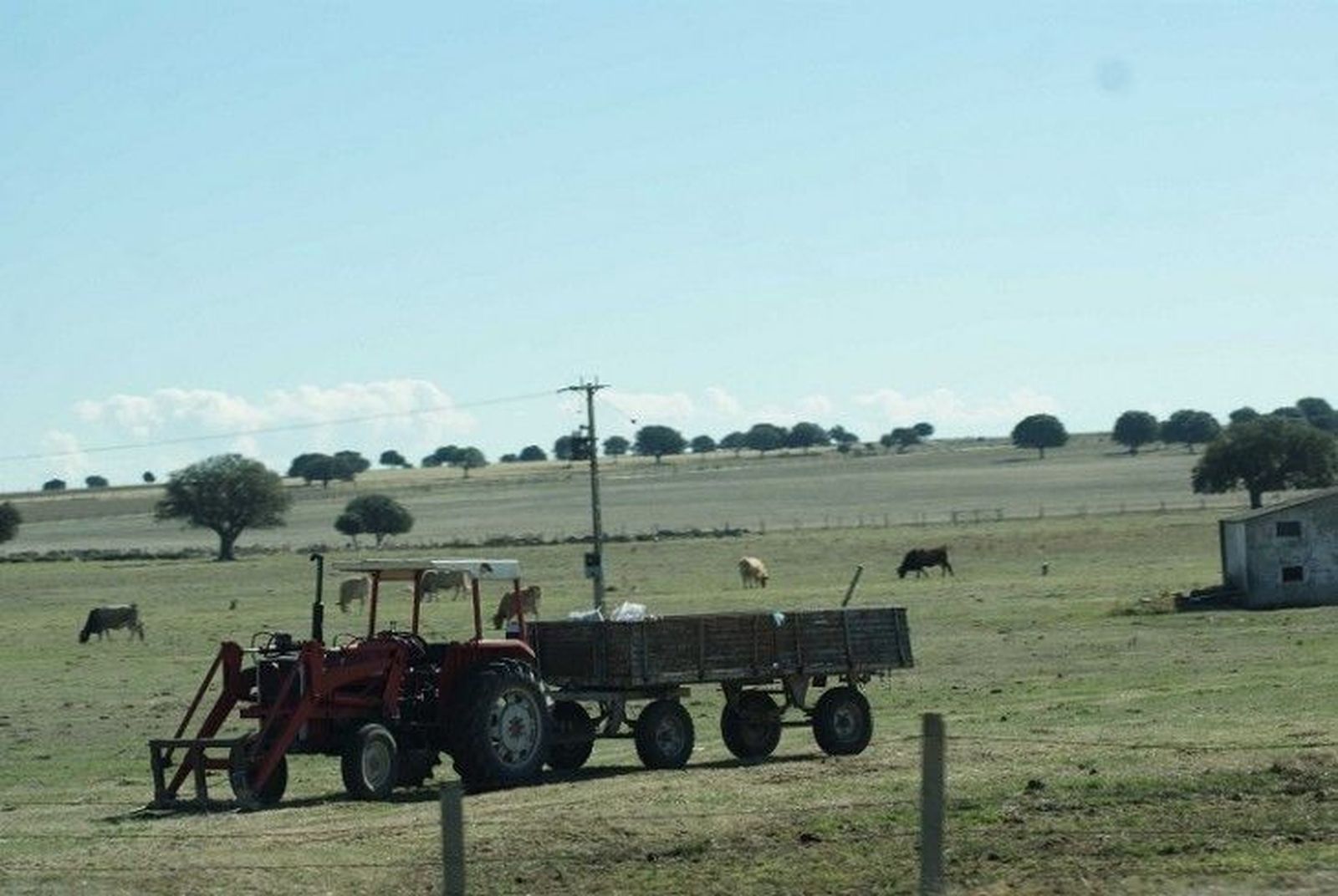 Asaja denuncia que la Junta tiene bloqueado el pago de once programas