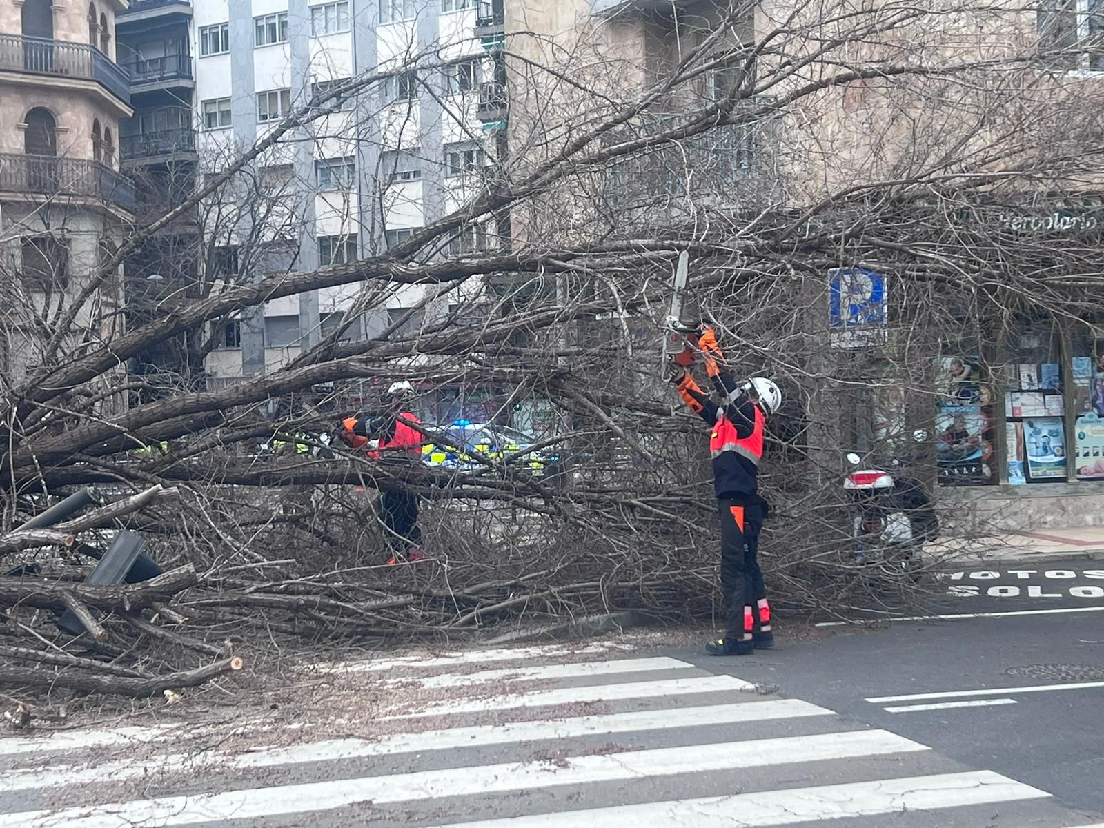 whatsapp-image-2024-02-08-at-15-19-40-1