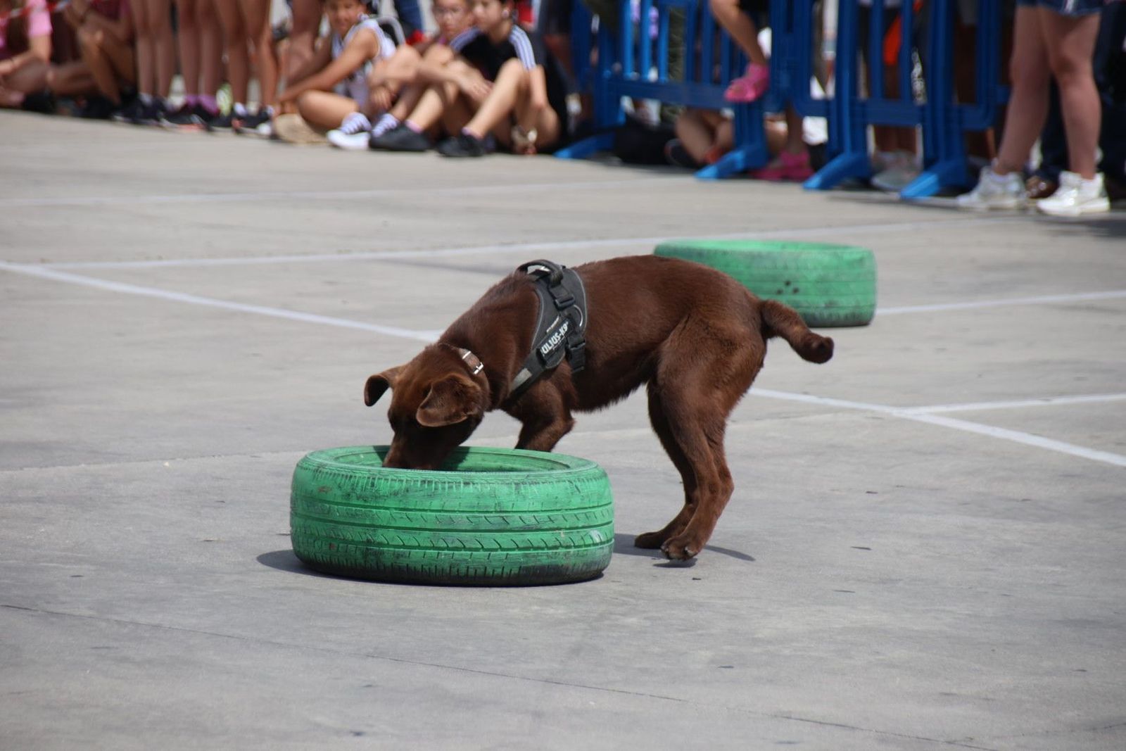 20240606110806-img-5549