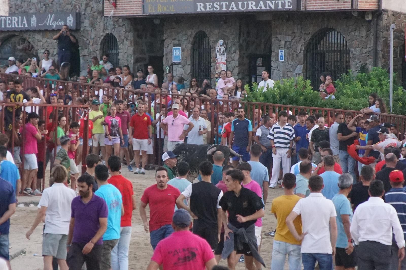 Pasión, tradición y calle: así se ha vivido en Ledesma el II Toro de Cajón