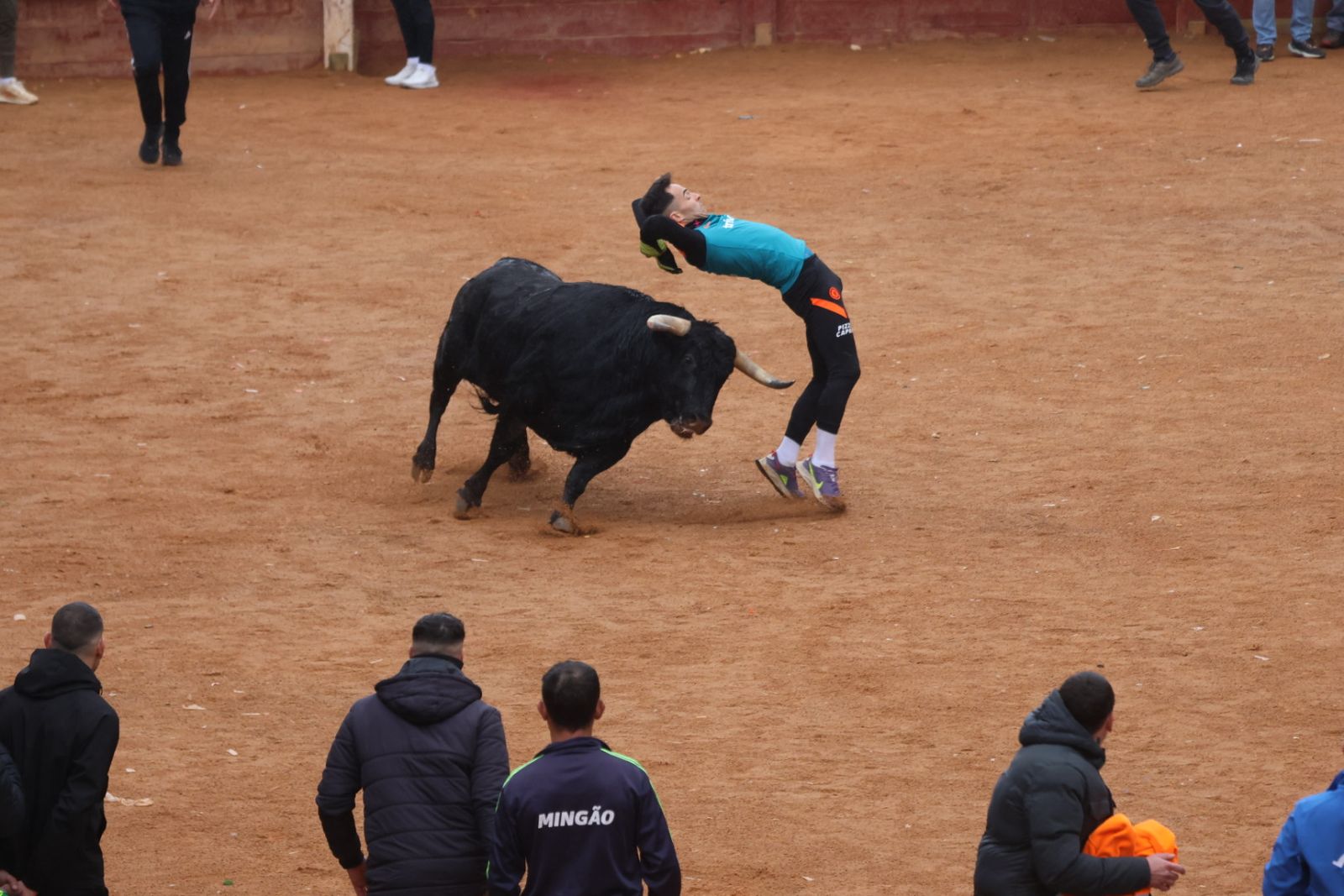 Capea de domingo en el Carnaval del Toro 2026 de Ciudad Rodrigo
