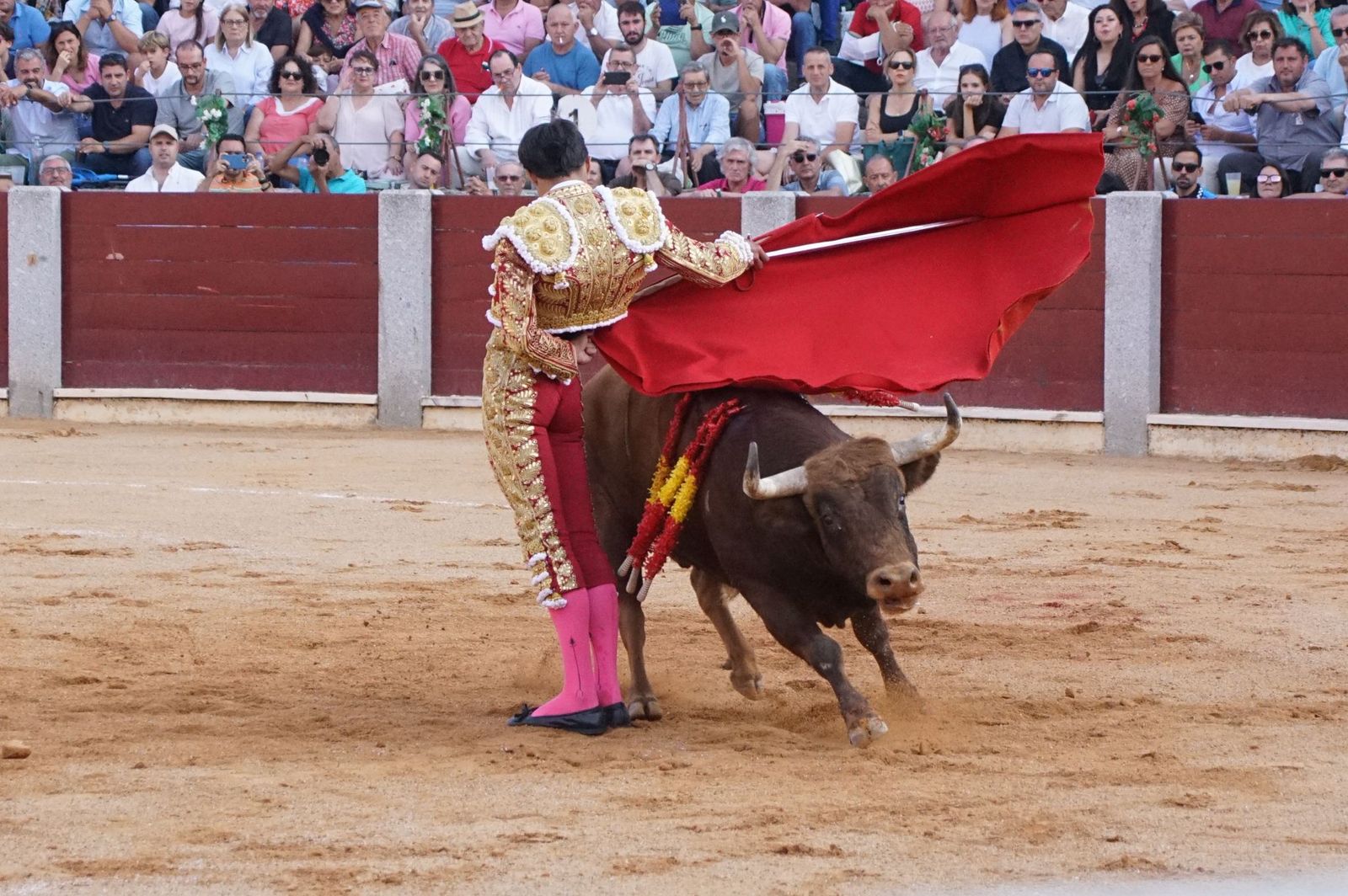 : Emilio de Justo y Diosleguarde cierran en hombros una feria de Guijuelo marcada por las despedidas de El Capea y Javier Castaño