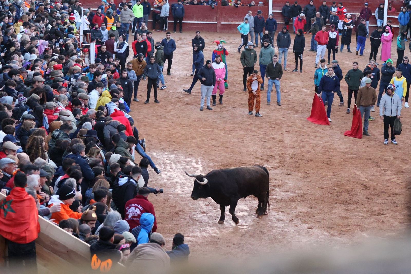 20240210184711-img-6015