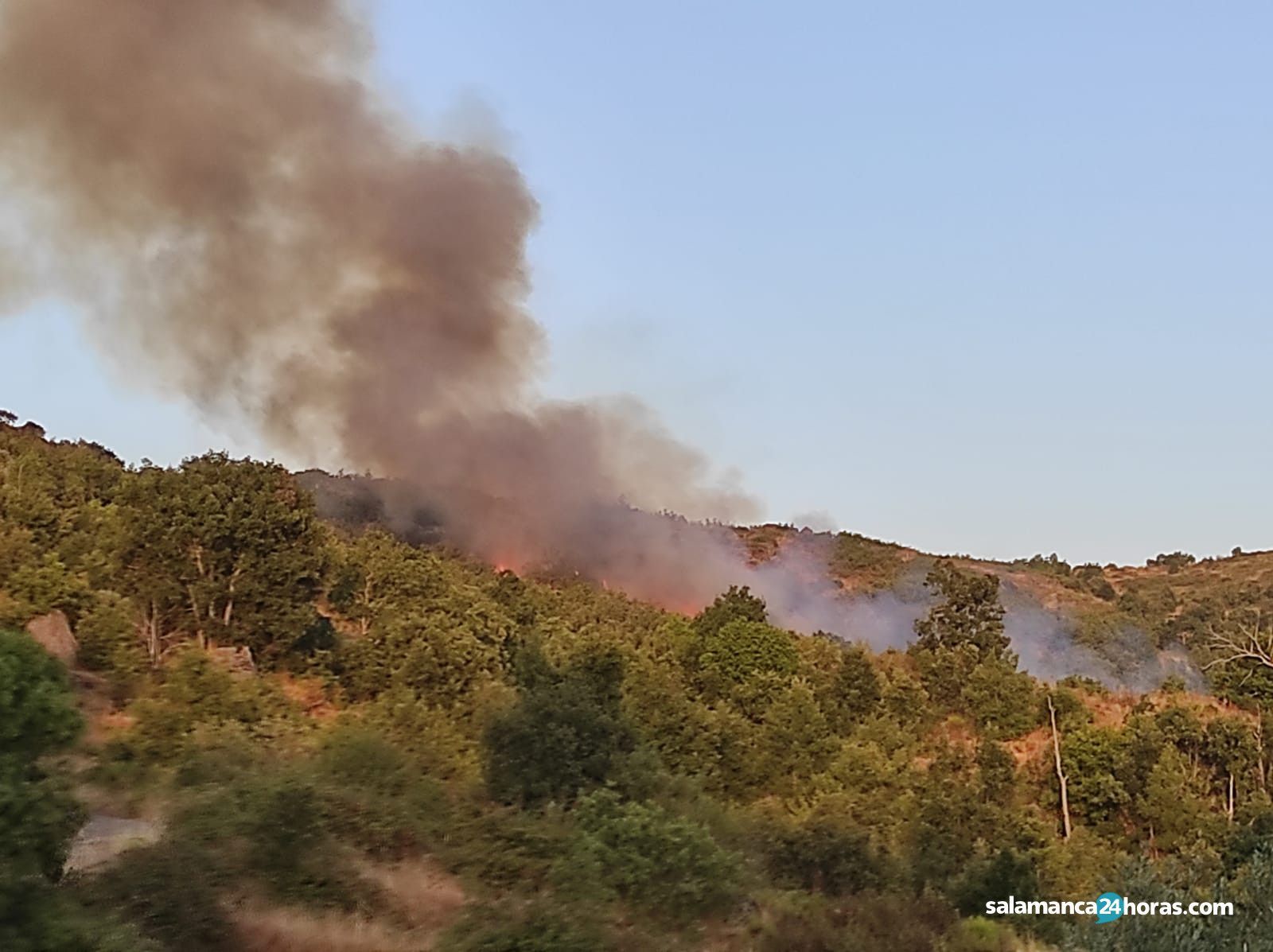Incendio San Esteban (2)
