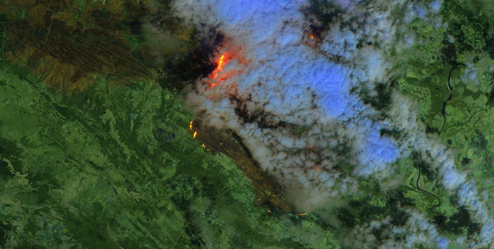 Incendio  Copernicus