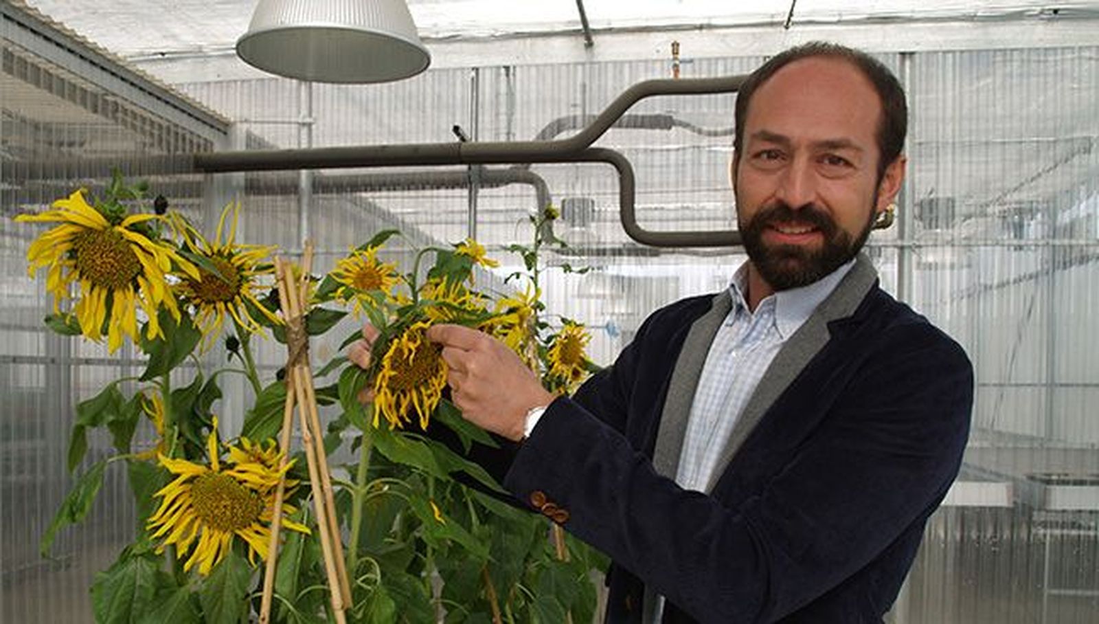 Un equipo del CIALES de la Universidad de Salamanca ha publicado un estudio en la prestigiosa revista científica Cell Reports. Foto USAL