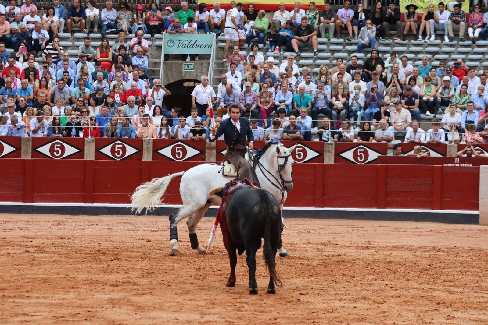 20230909174254-img-0530