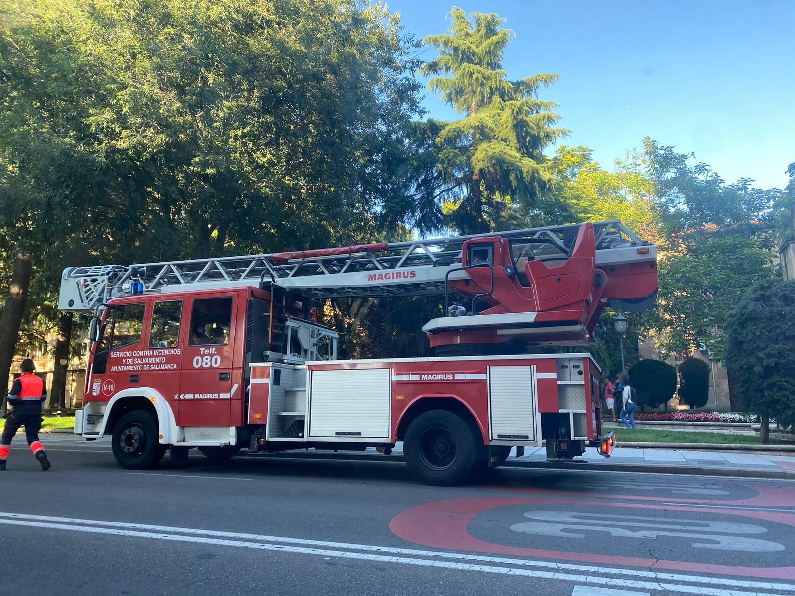 Bomberos de Salamanca intervienen en el paseo del Doctor Torres Villarroel