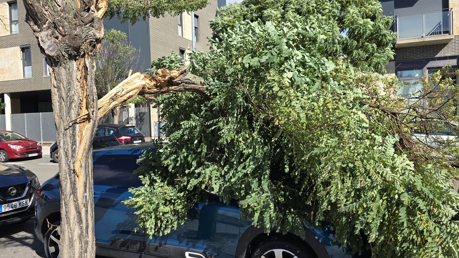 whatsapp-image-2024-10-09-at-12-44-24