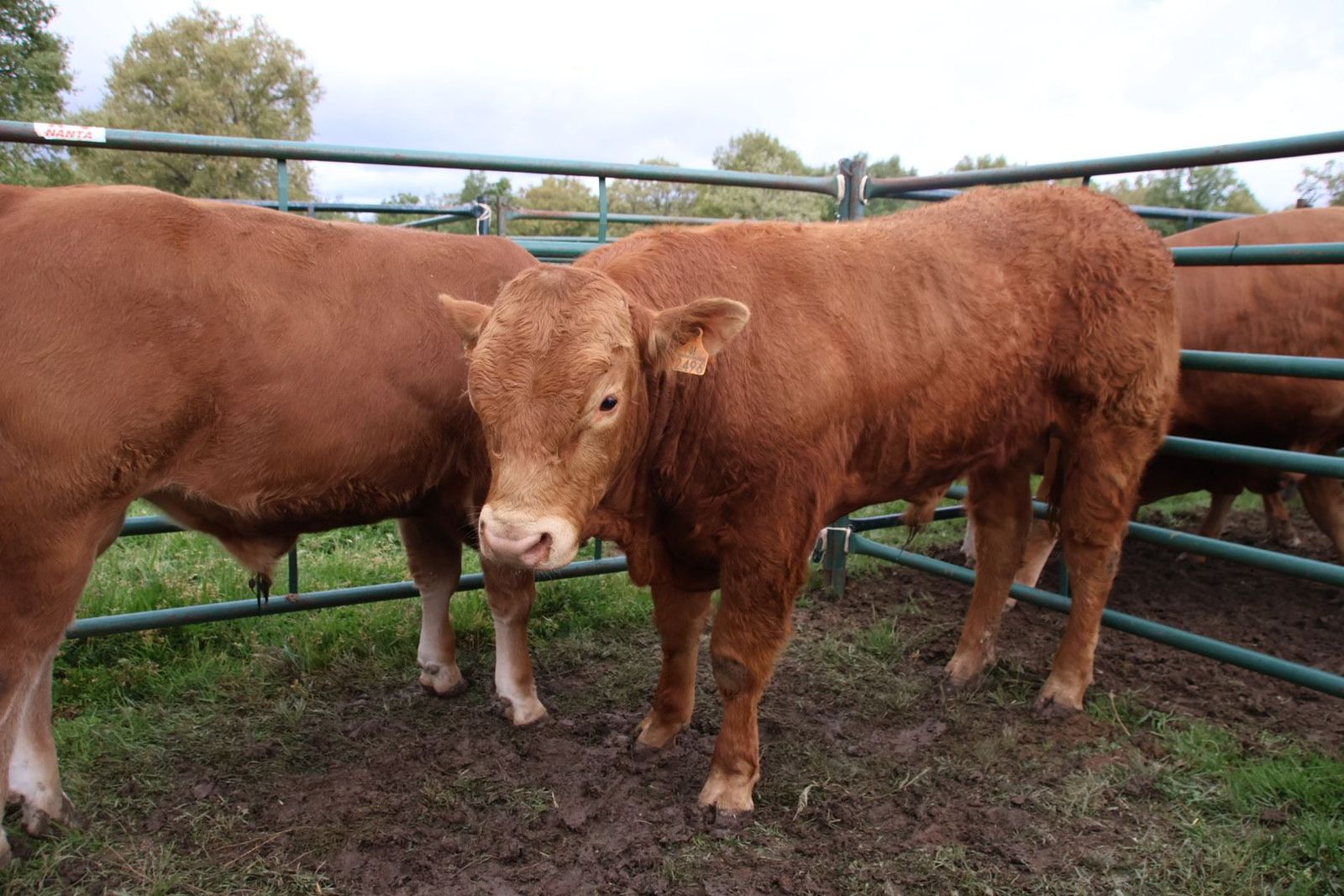 20240501104622-img-2978