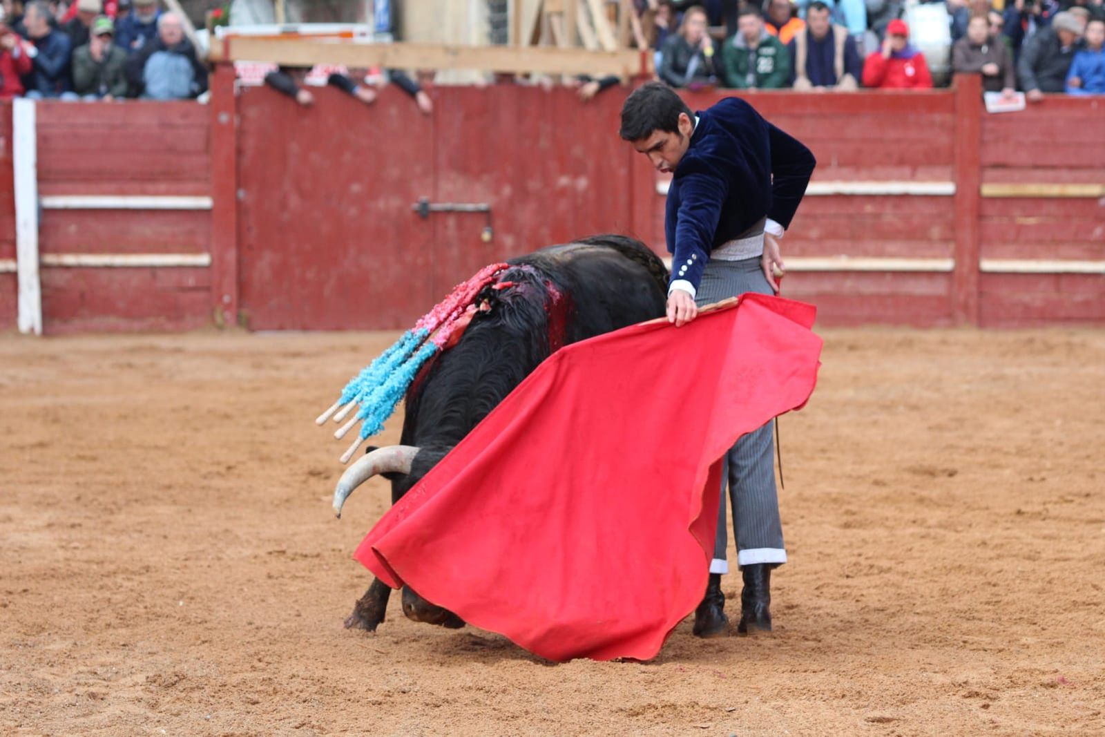 whatsapp-image-2023-02-21-at-17-36-26