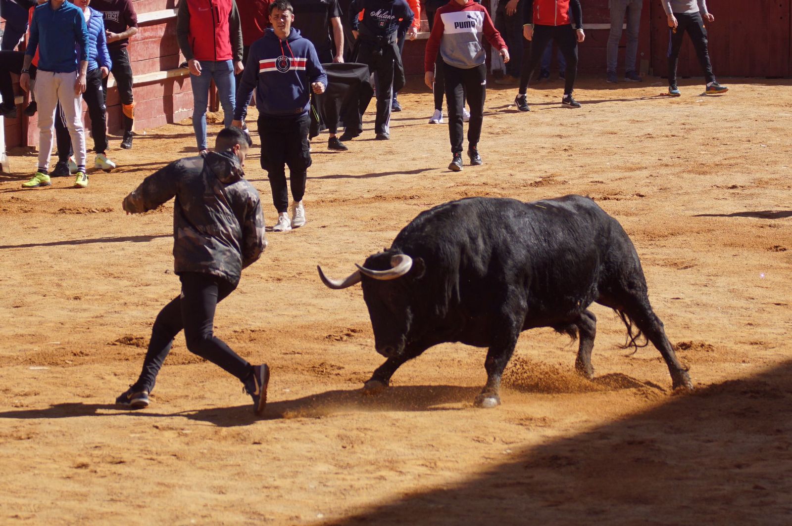 encierro-capea-y-ambiente-en-ciudad-rodrigo-en-este-lunes-de-carnaval-63