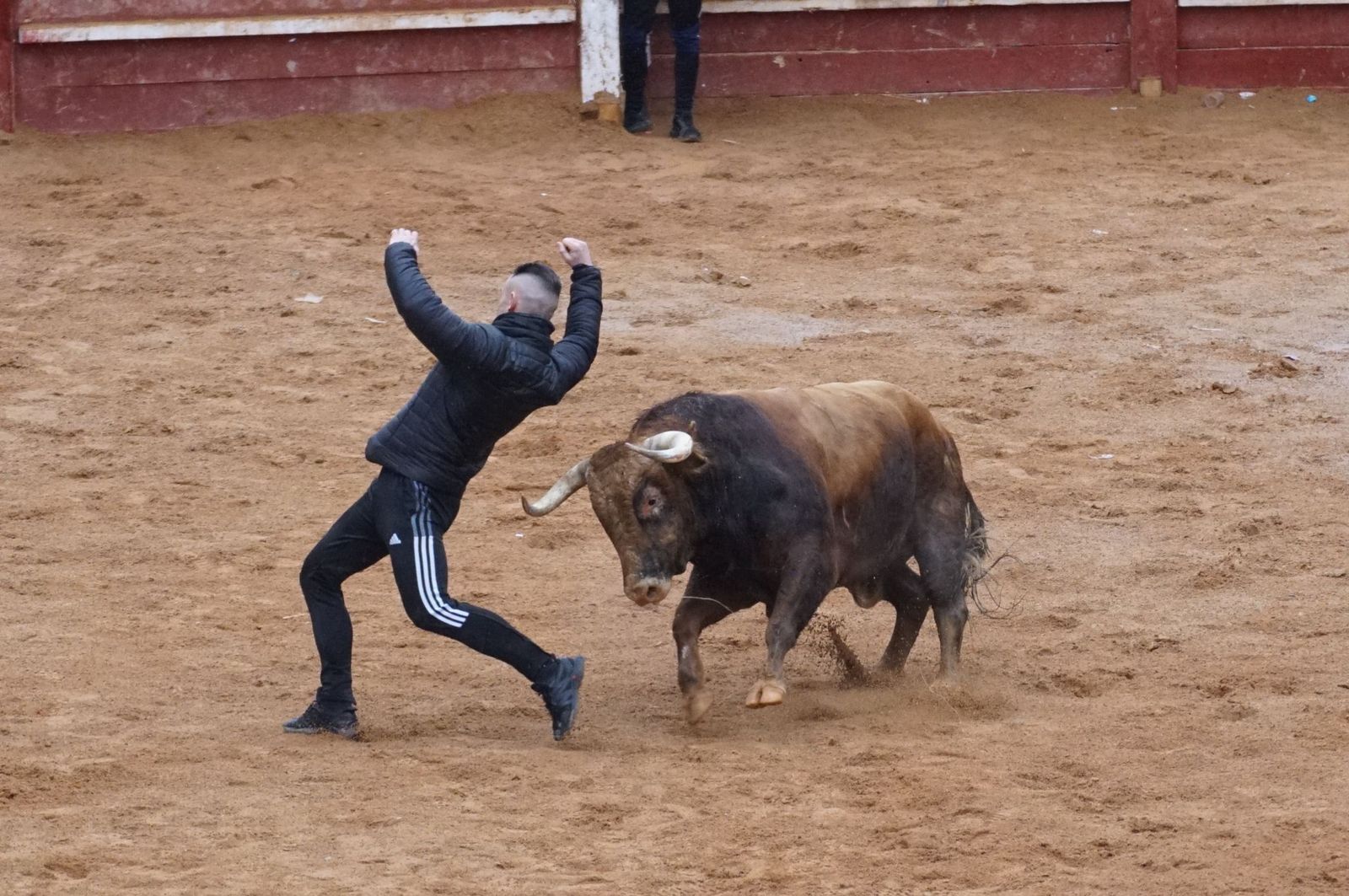 whatsapp-image-2025-03-03-at-14-50-28-1