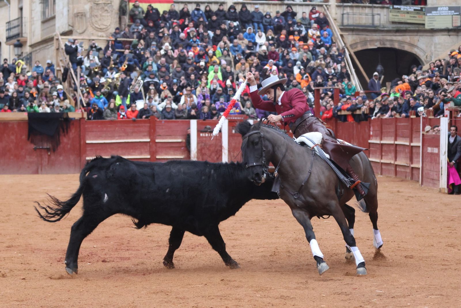 Novillada sin picadores del bolsín taurino y rejones en Ciudad Rodrigo