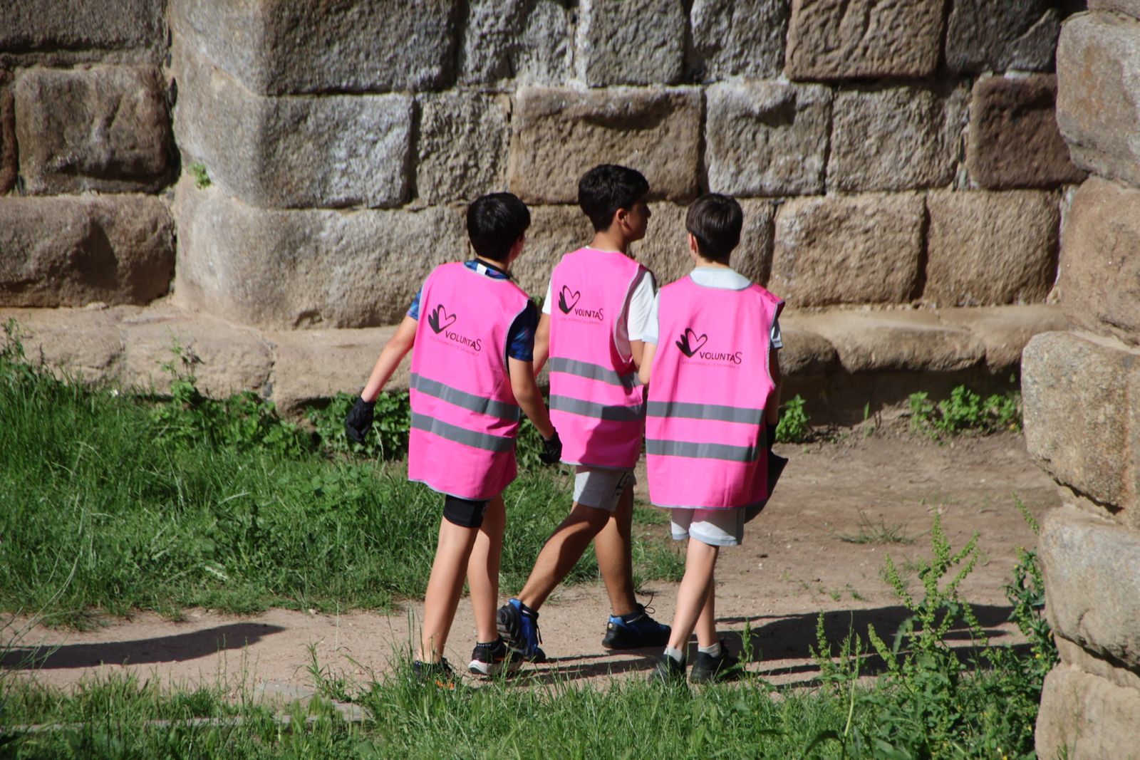 Actividad de voluntariado ambiental