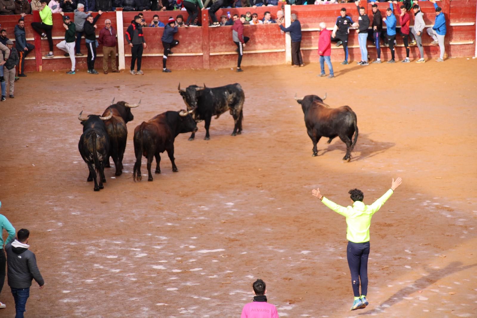 encierro-del-martes-de-carnaval-en-ciudad-rodrigo-29