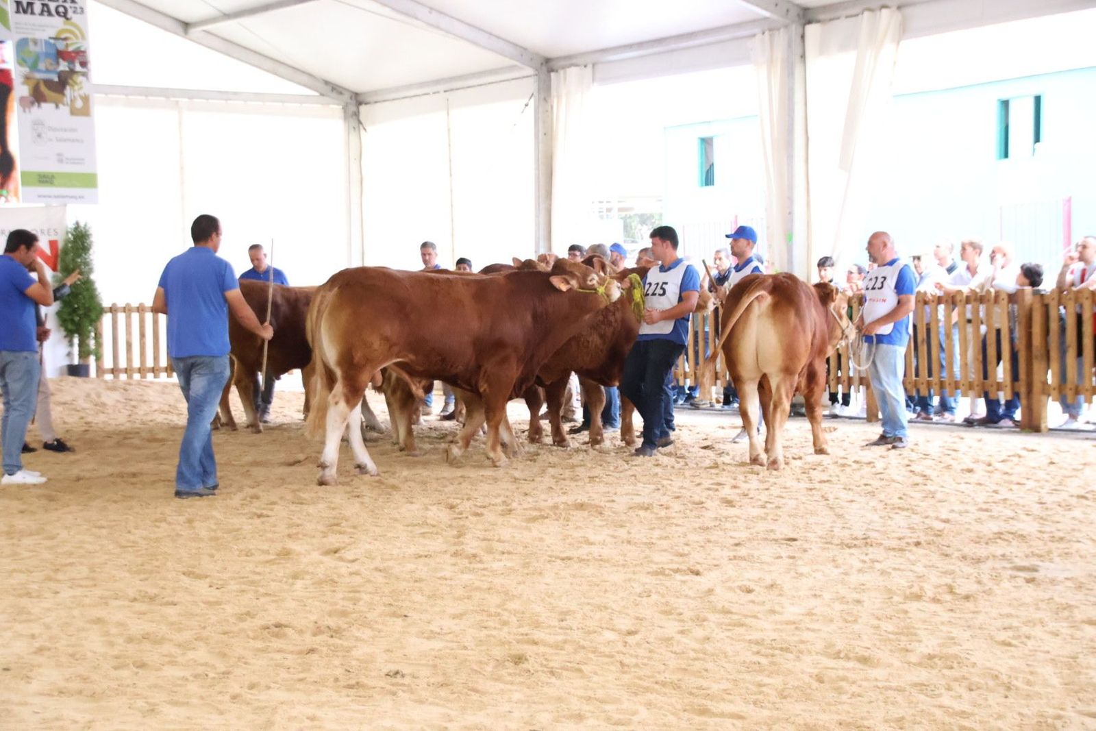 20230902105537-img-6988