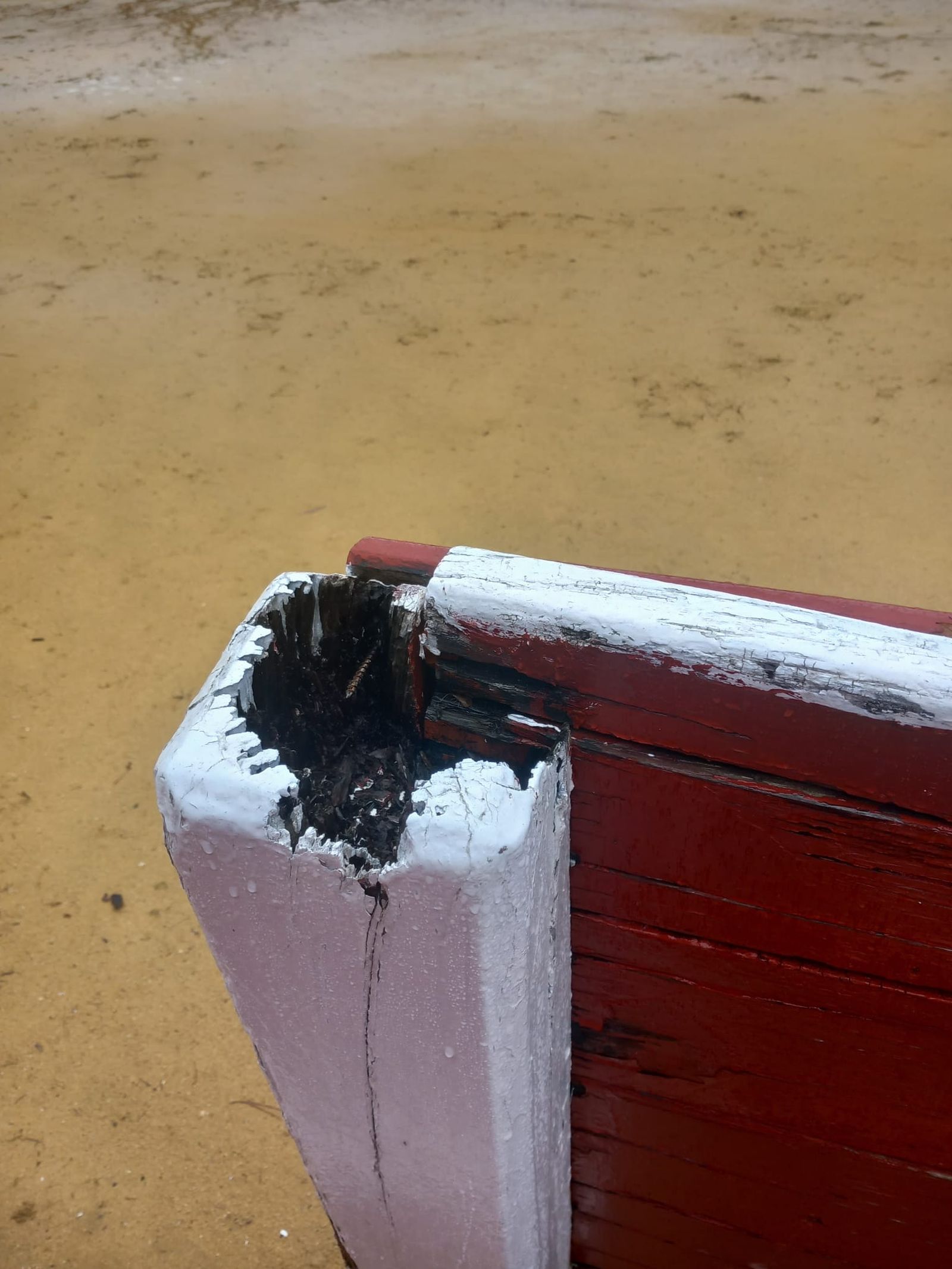 Plaza de Toros La Ancianita de Béjar  (7).jpeg