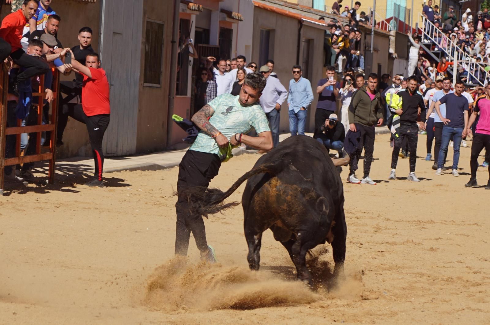 whatsapp-image-2025-04-26-at-19-02-05-1