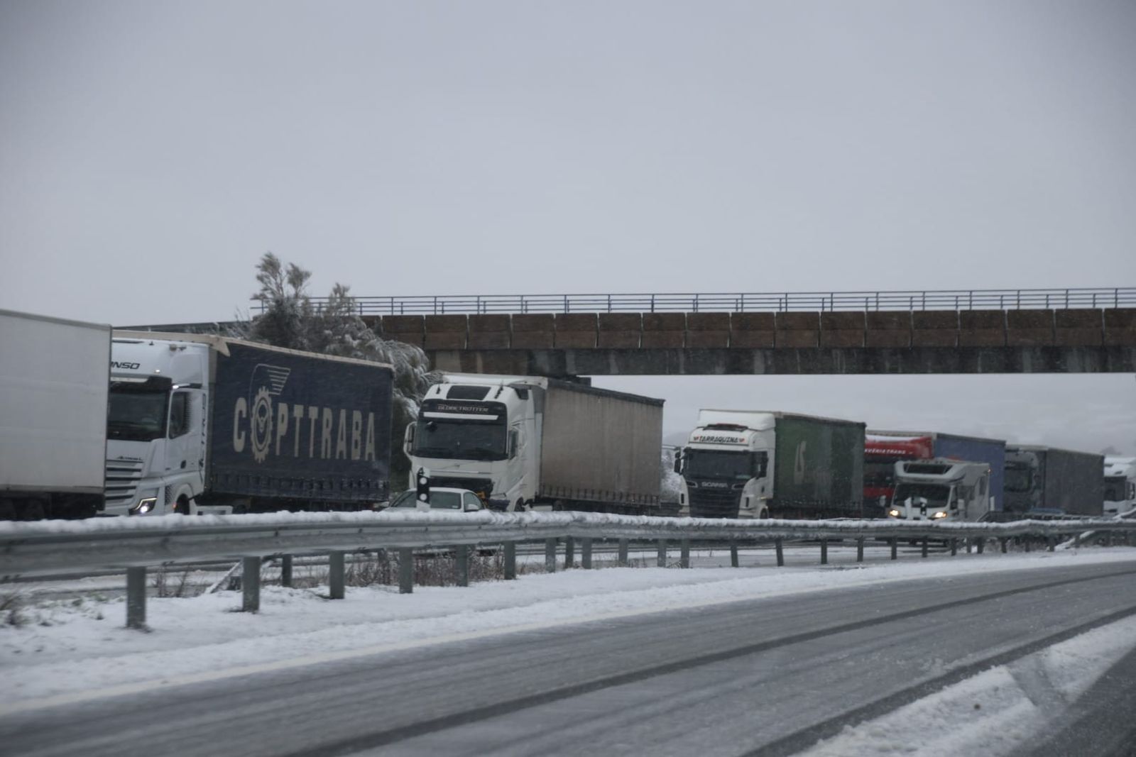 whatsapp-image-2024-01-19-at-16-57-17-3