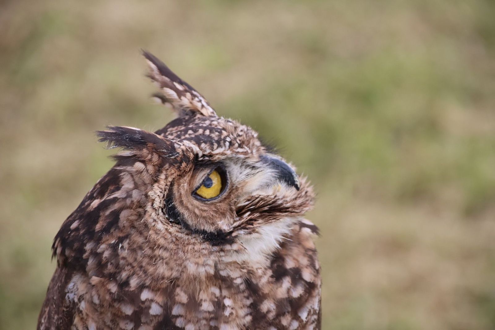 20240501102107-img-2864