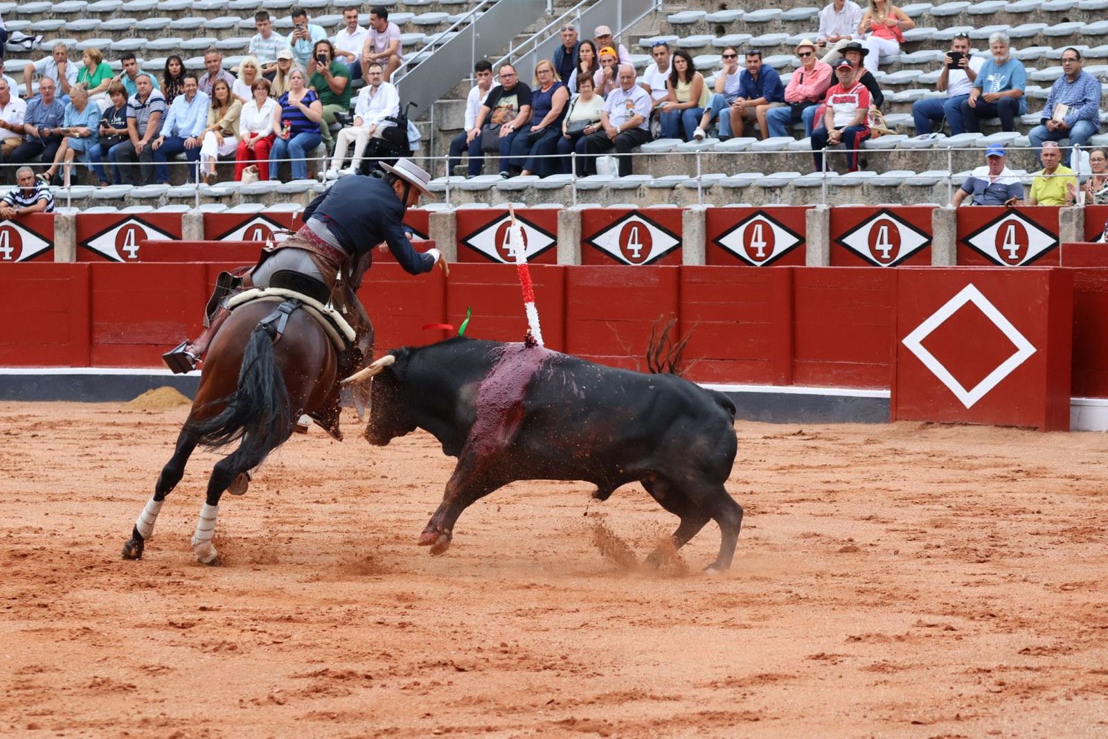 20230909173912-img-0512