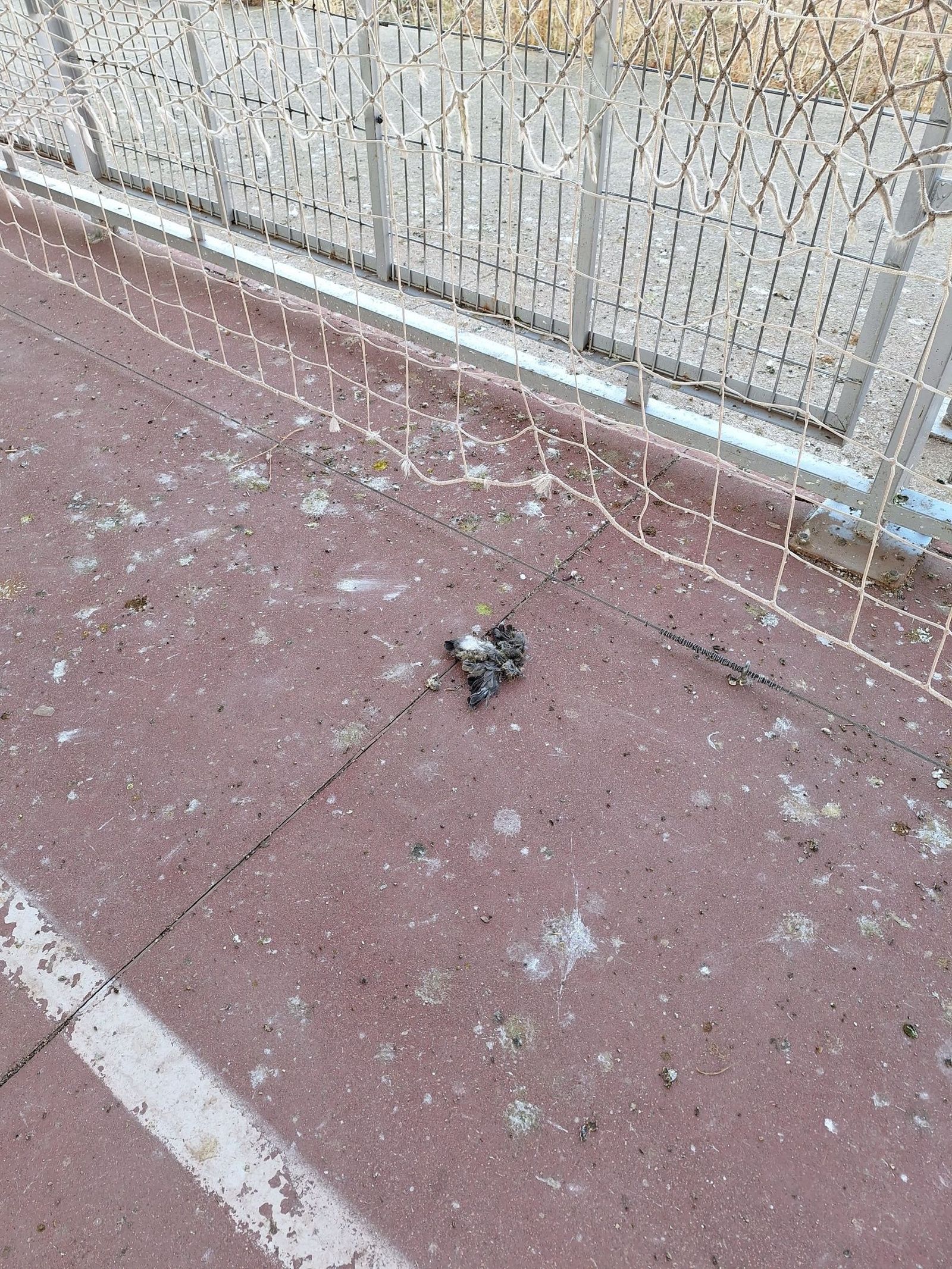 quejas-por-el-estado-de-la-pista-deportiva-del-barrio-de-vistahermosa-1