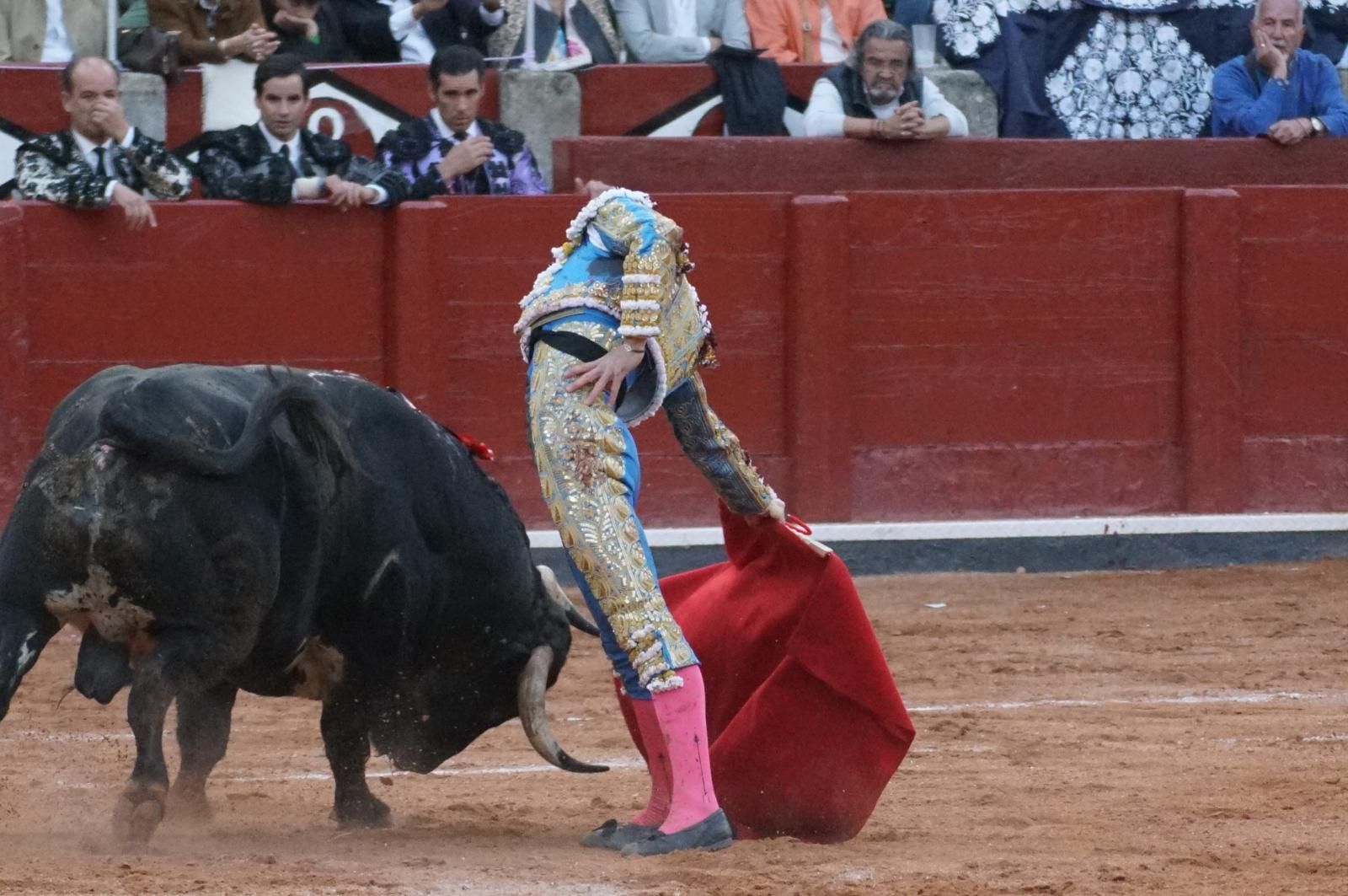 corrida-concurso-momentos-mas-destacados-del-ultimo-festejo-de-abono-de-la-feria-taurina-virgen-de-la-vega-2024-fotos-carlos-h-g-y-juanes-19