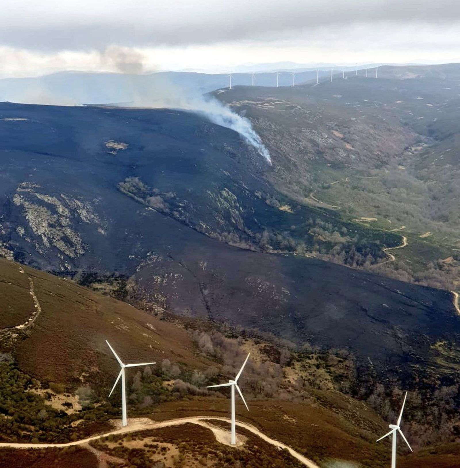 Superficie arrasada por las llamas