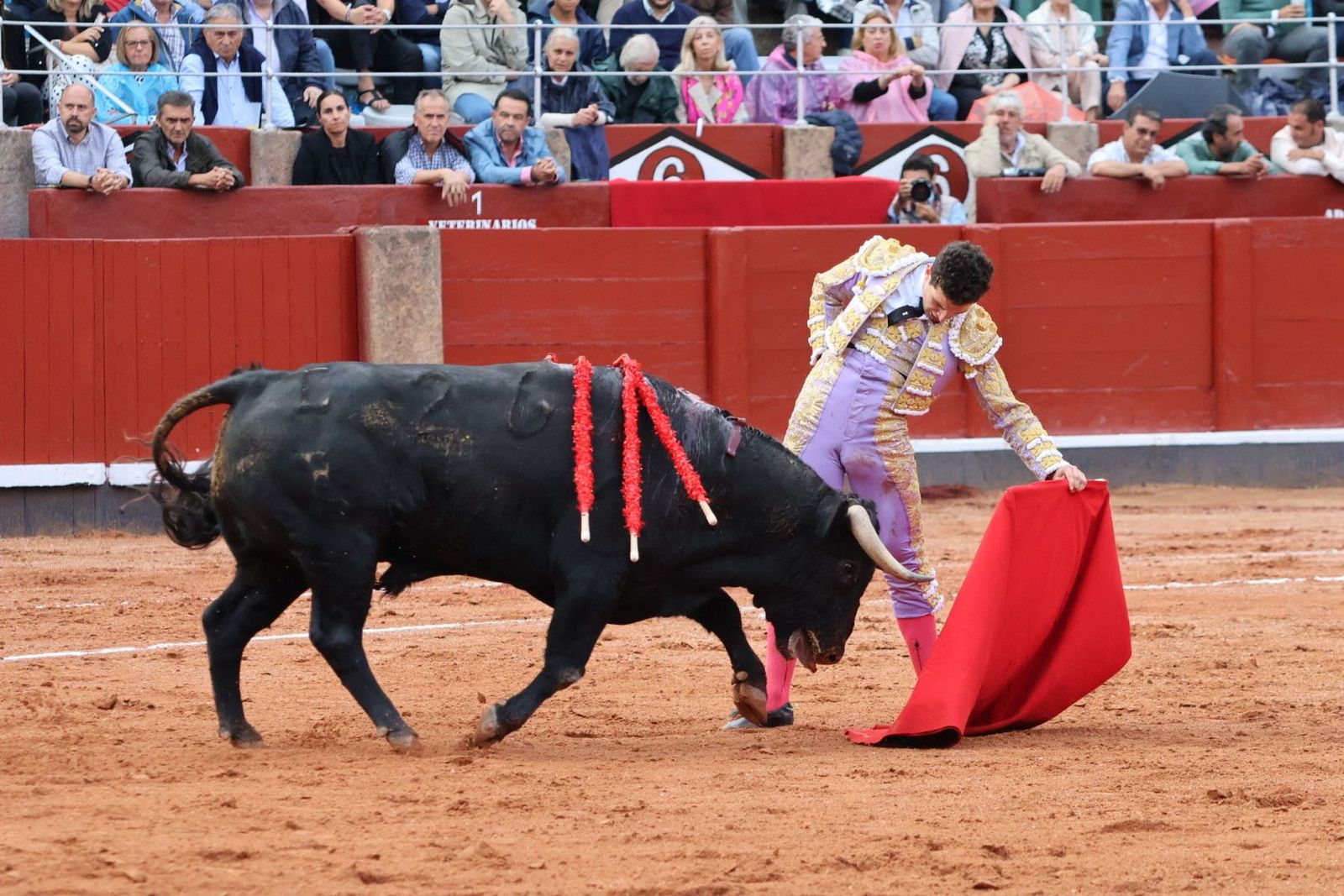 20230915183035-img-4145