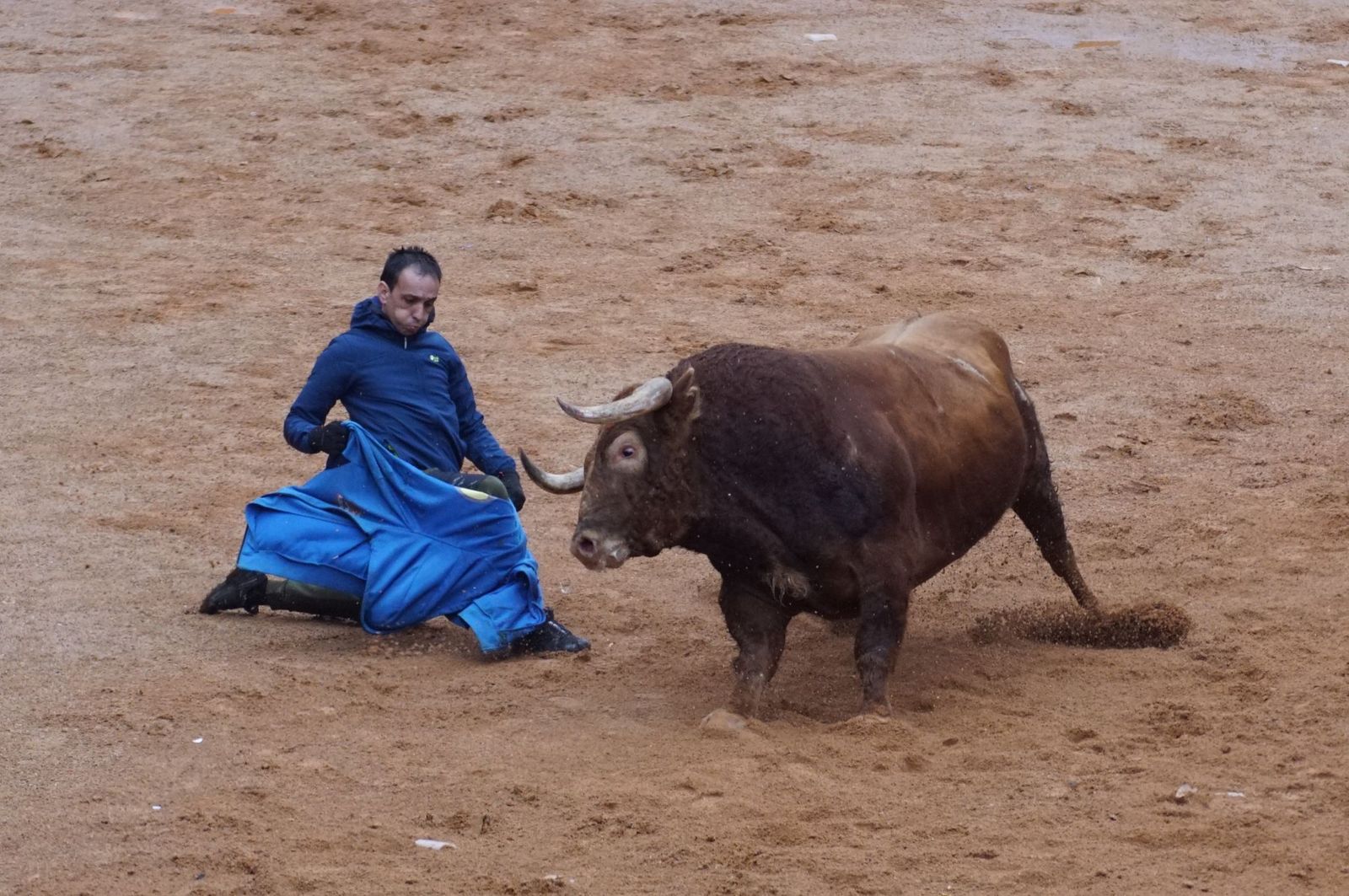 whatsapp-image-2025-03-03-at-14-50-25