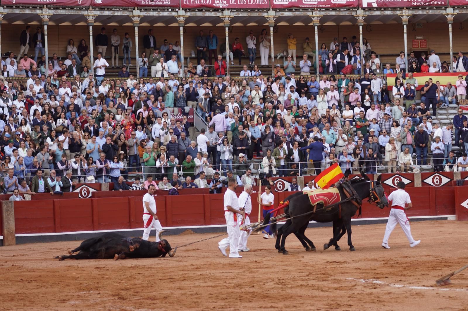 resumen-fotografico-del-ambiente-en-los-tendidos-de-la-glorieta-durante-la-corrida-concurso-22-de-septiembre-fotos-juanes-107